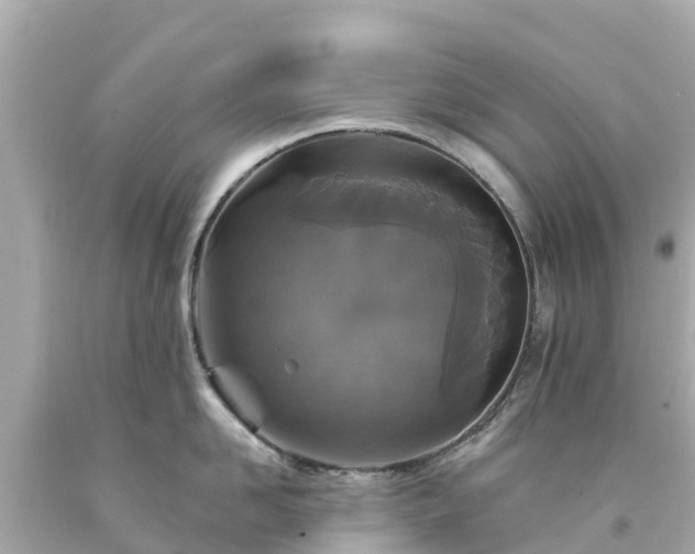 X0000094190958200711021025