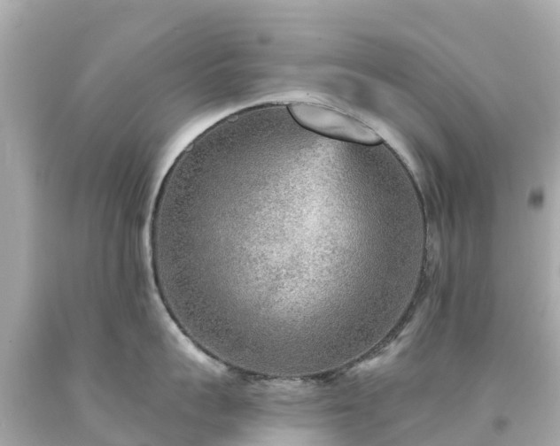 X0000094190959200711021025