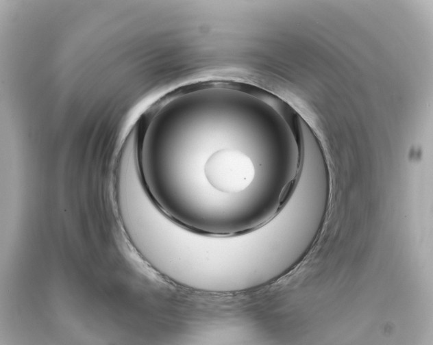 X0000094190960200711021025