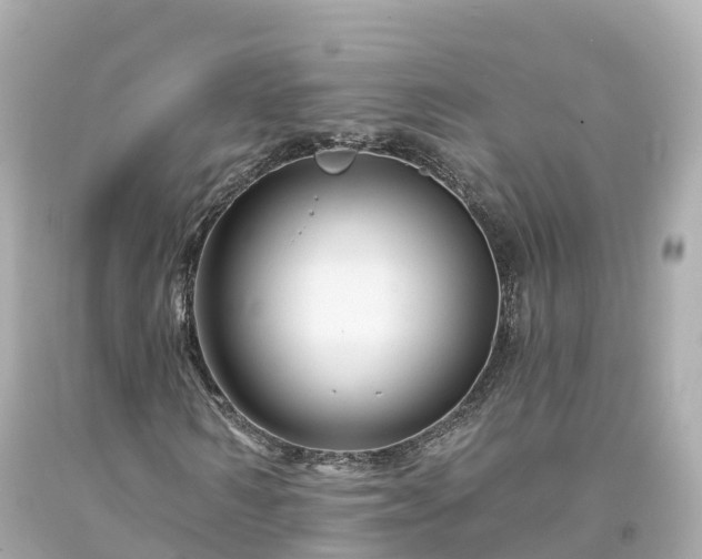 X0000094190962200711021024