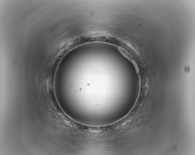 X0000094190965200711021024