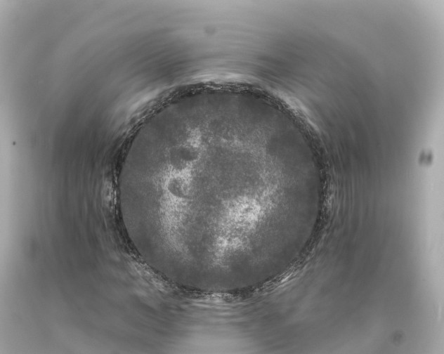 X0000094190966200711021024