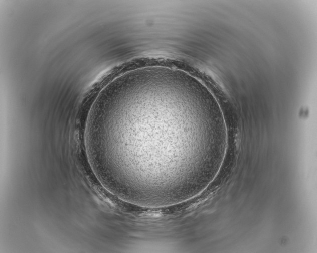 X0000094190968200711021024