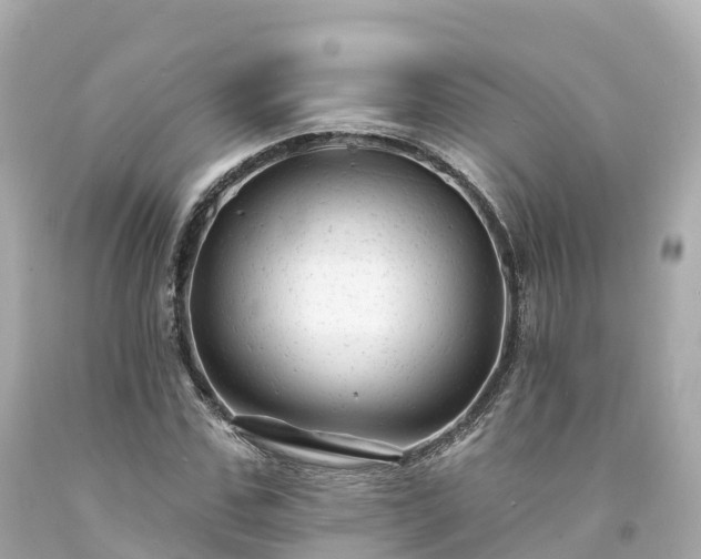 X0000094190971200711021024