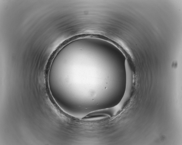 X0000094190972200711021024