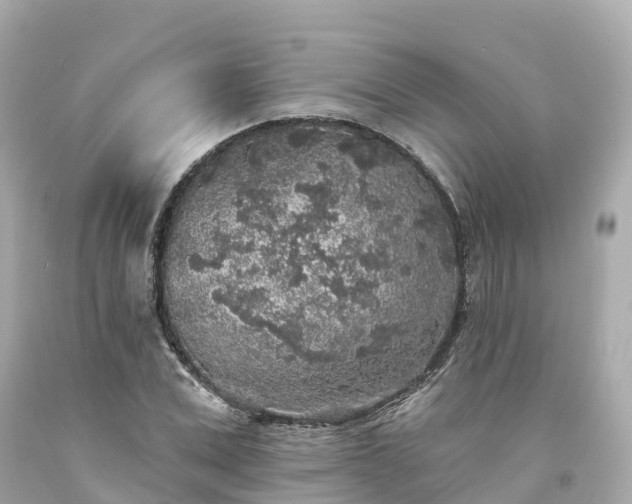 X0000094190975200711021024