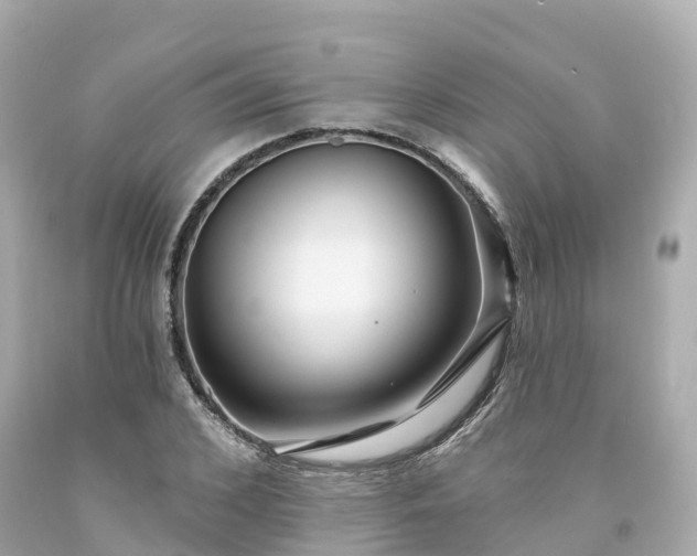 X0000094190976200711021024