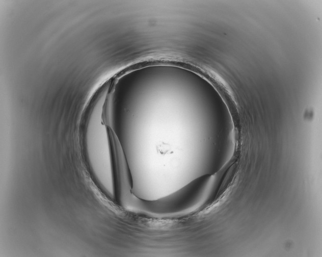 X0000094190981200711021024