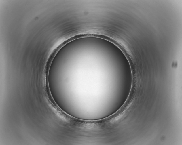 X0000094190982200711021024