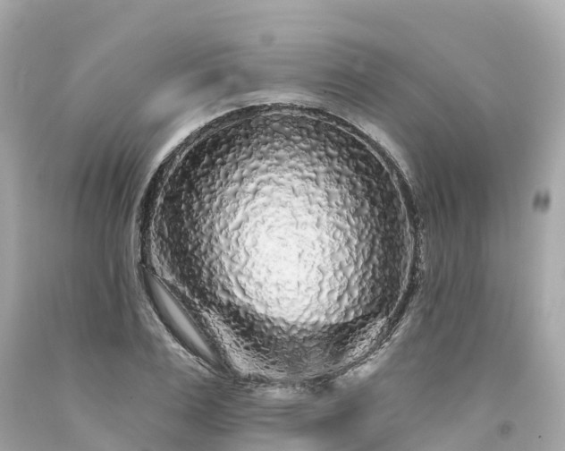 X0000094190983200711021024