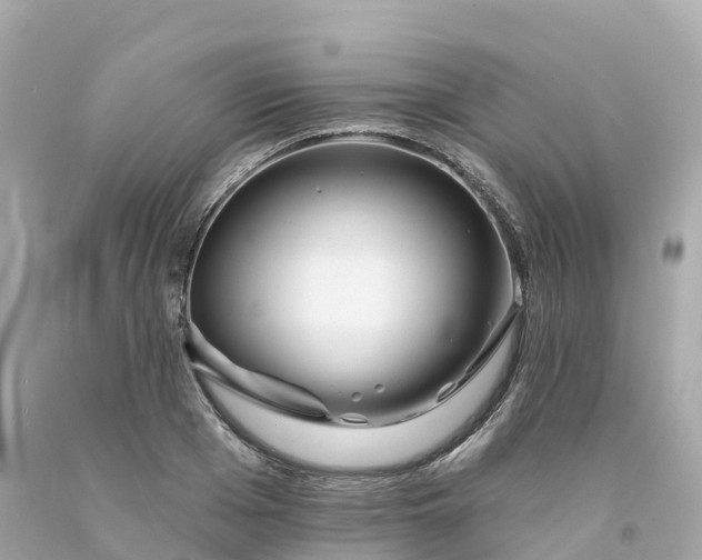 X0000094190985200711021024