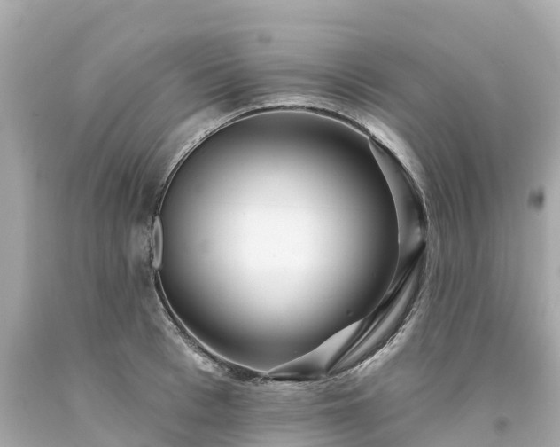 X0000094190993200711021024