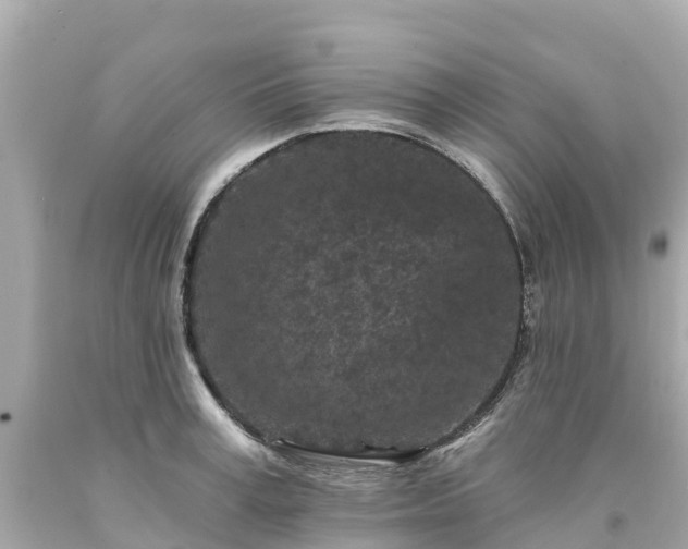 X0000094190995200711021024