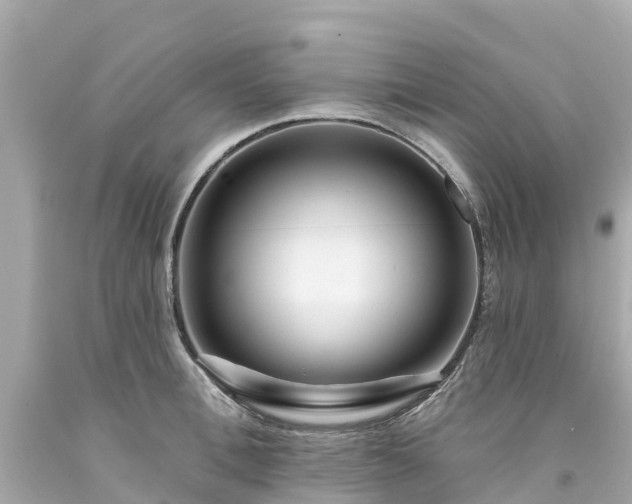 X0000094190996200711021024