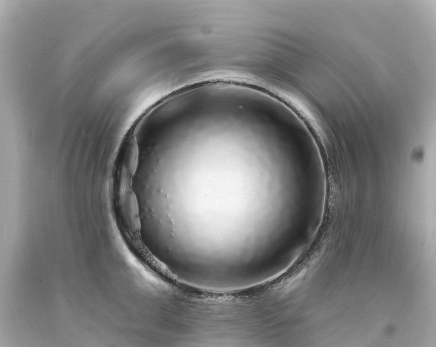 X0000094190999200711021024