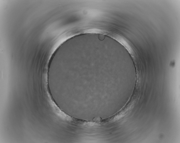 X0000094191000200711021024