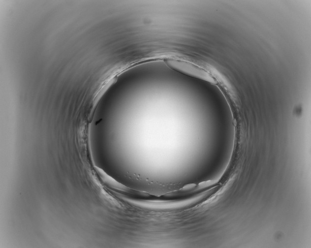 X0000094191001200711021024