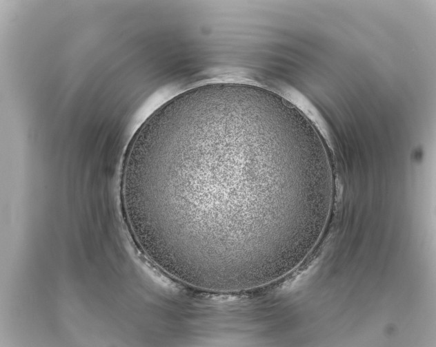 X0000094191002200711021024