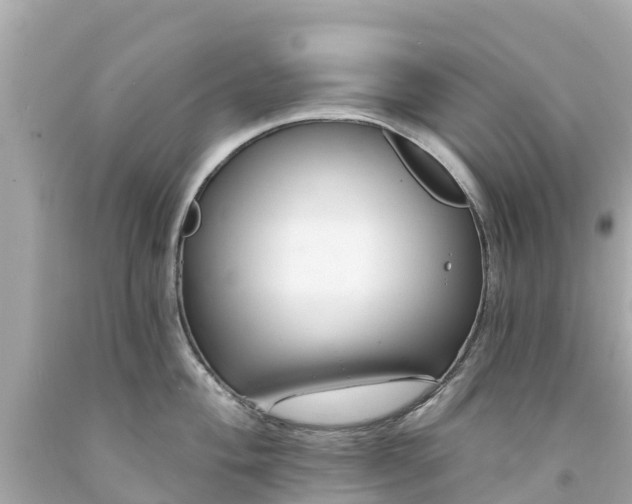 X0000094191004200711021024