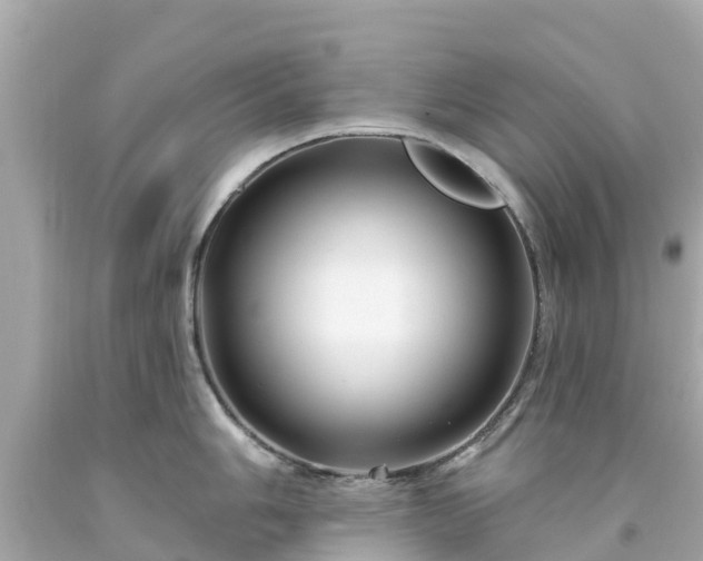 X0000094191006200711021023