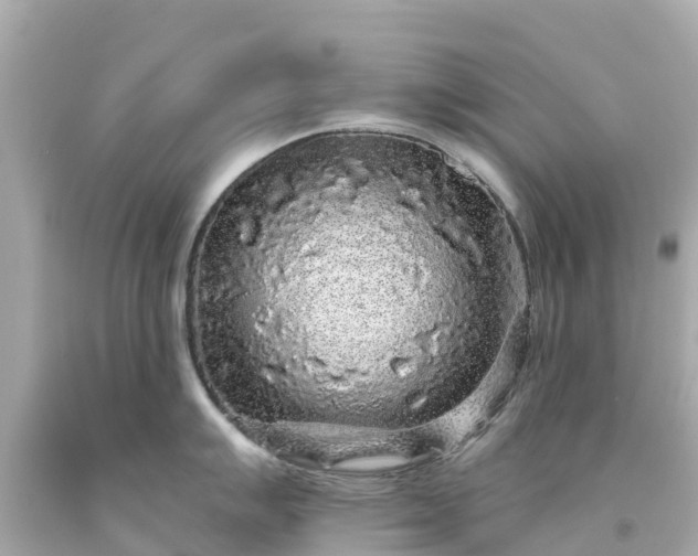 X0000094191007200711021023