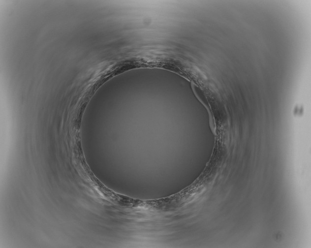 X0000094191009200711021023