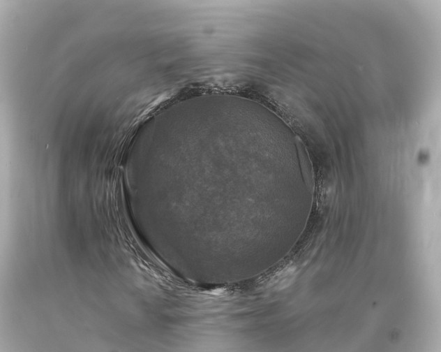 X0000094191010200711021023