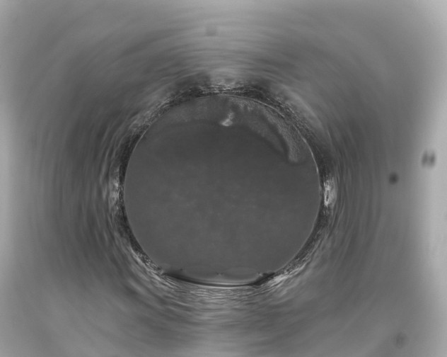 X0000094191011200711021023