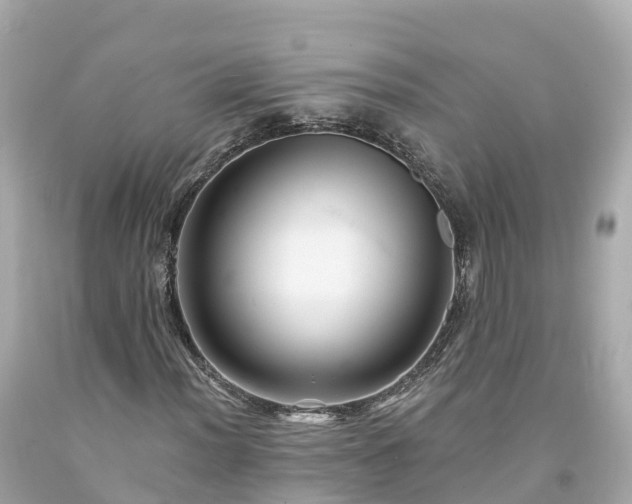X0000094191012200711021023