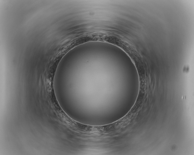 X0000094191013200711021023