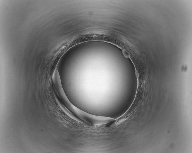 X0000094191014200711021023