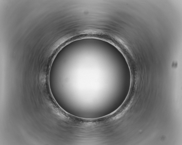 X0000094191017200711021023