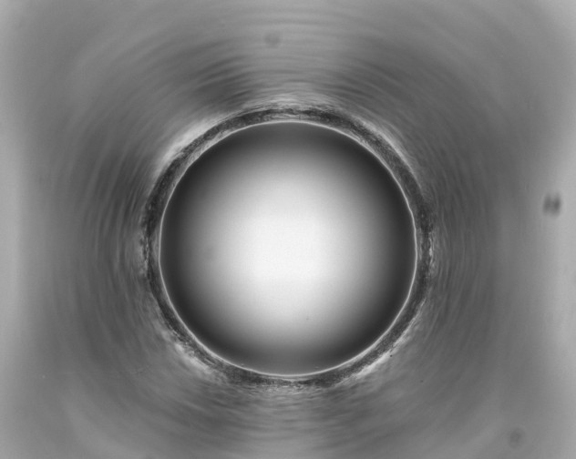X0000094191018200711021023
