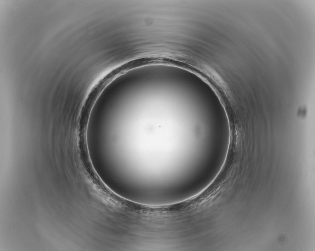 X0000094191020200711021023