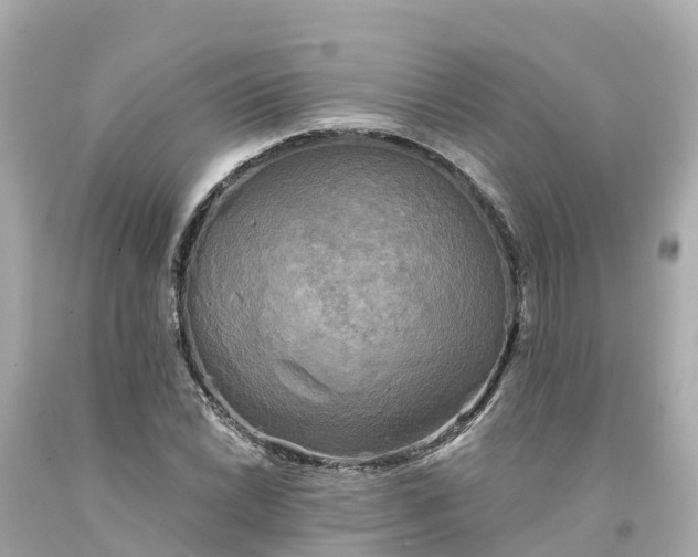 X0000094191022200711021023