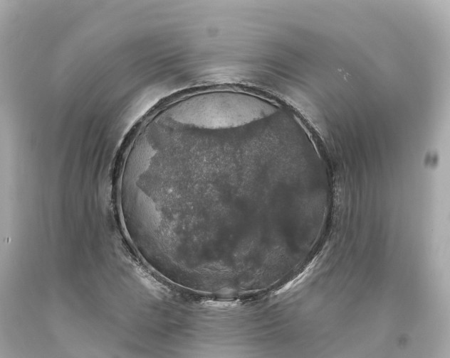 X0000094191023200711021023