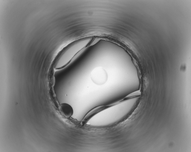 X0000094191026200711021023