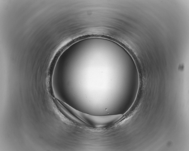 X0000094191029200711021023