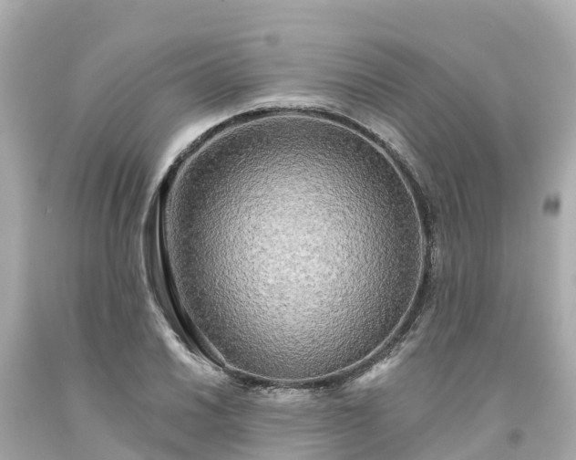 X0000094191030200711021023