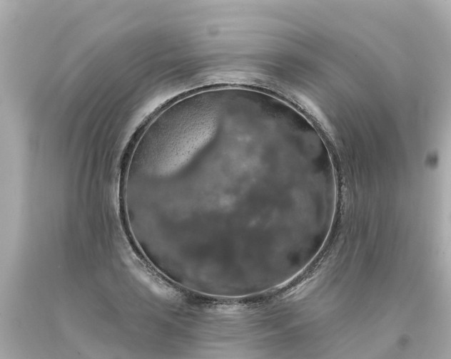 X0000094191035200711021023