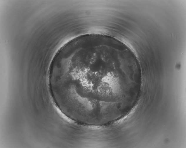 X0000094191037200711021023