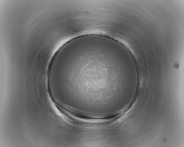 X0000094191038200711021023