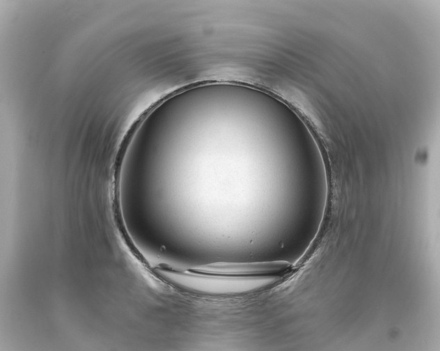 X0000094191040200711021023