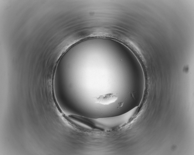 X0000094191041200711021023
