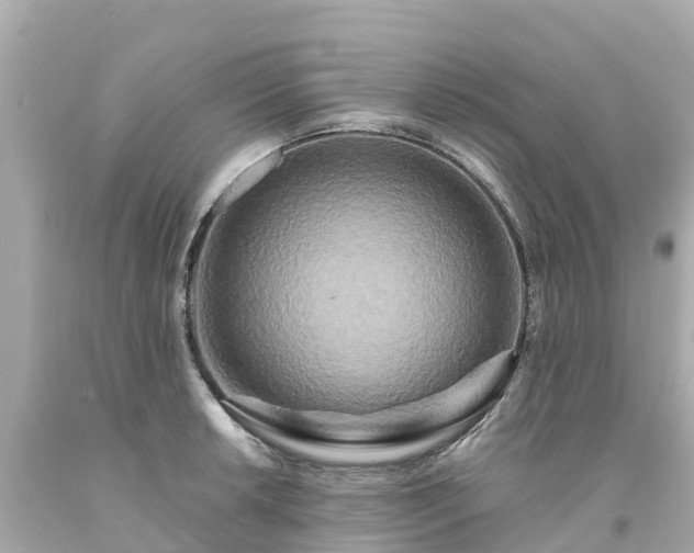 X0000094191042200711021023