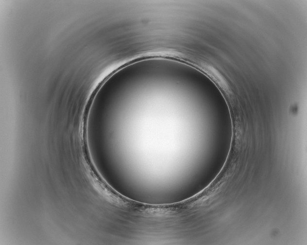 X0000094191044200711021023