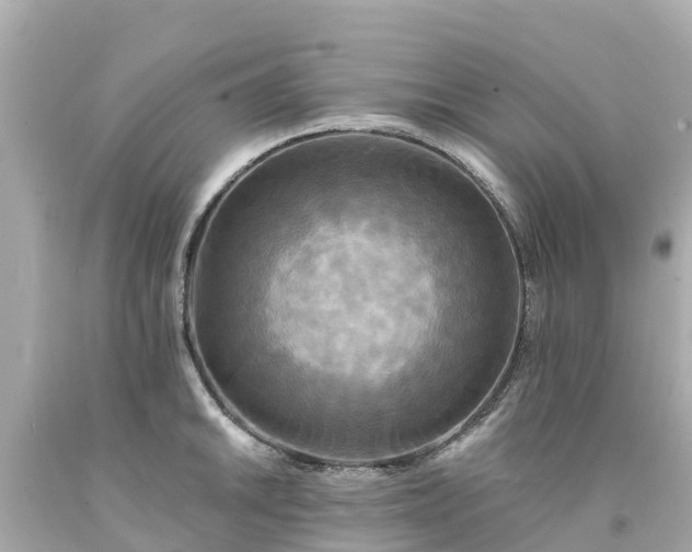X0000094191046200711021023