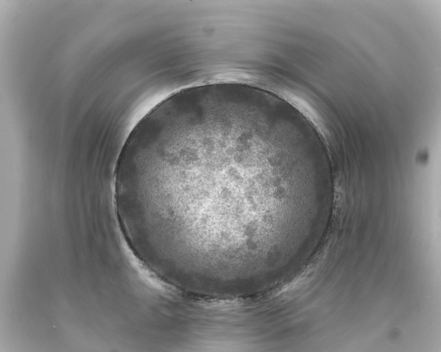 X0000094191047200711021023