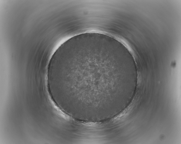 X0000094191048200711021023