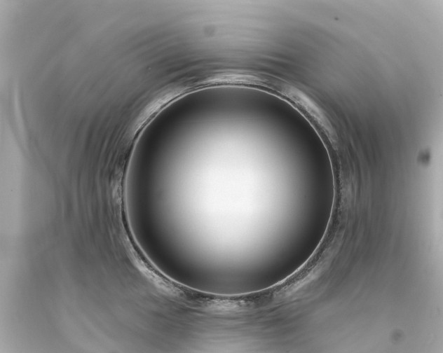 X0000094191049200711021023